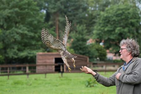 Stressgevoelige dieren zijn vrijgelaten