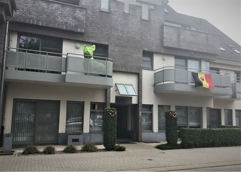 Supporteren voor België