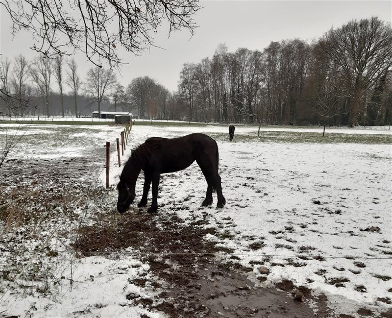 't Is winter voor iedereen