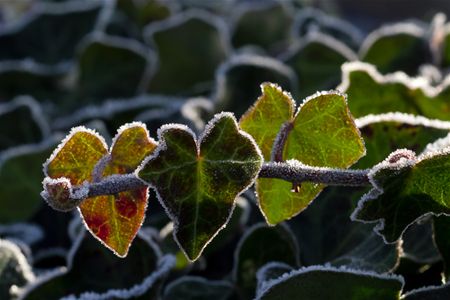 Toch al een beetje winter