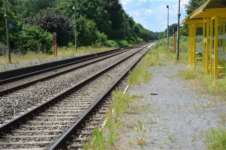 Trein stopt twee dagen niet in Heusden en Zolder