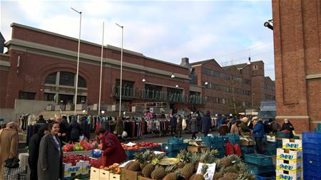 Tropisch fruit bij vriestemperaturen