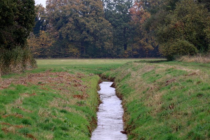 'Uitdroging van Mangelbeekvallei moet stoppen'