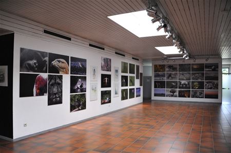 va-ART en Projecta exposeren samen