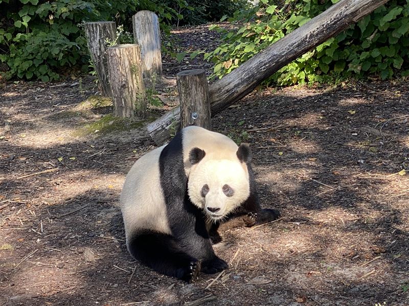 Vakantiefoto's: 't Wordt spannend voor de prijzen