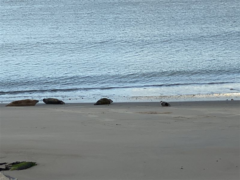 Vakantiefotowedstrijd is halfweg