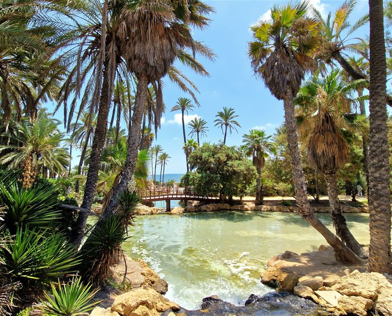 Vakantiegroeten uit Alicante