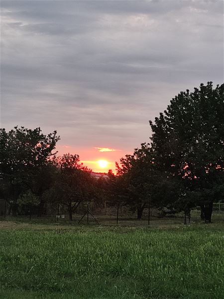 Vakantiegroeten uit Andocs