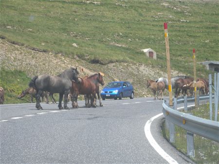 Vakantiegroeten uit Andorra