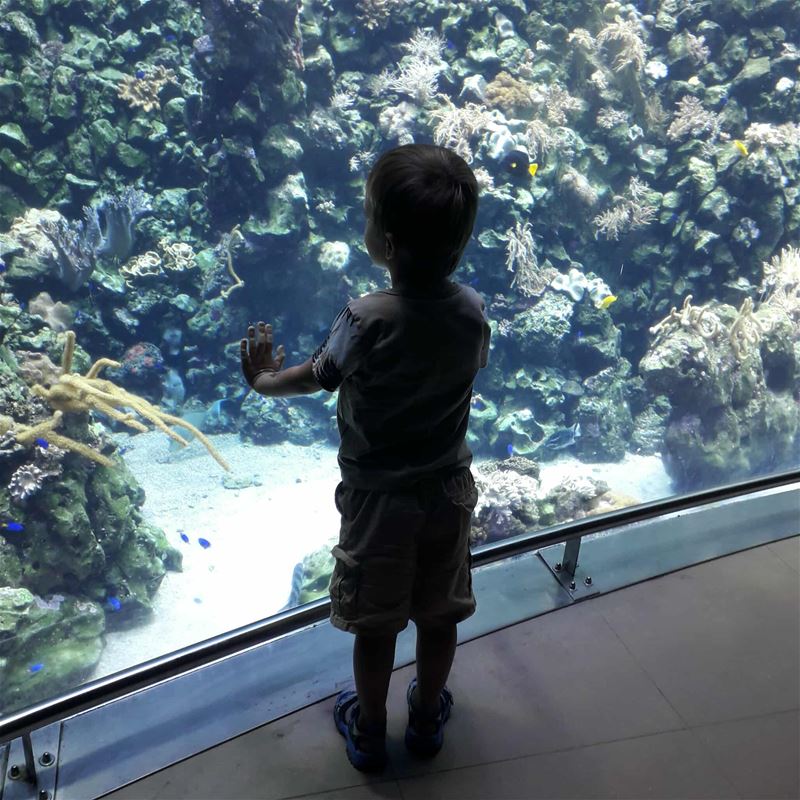 Vakantiegroeten uit Antwerpen