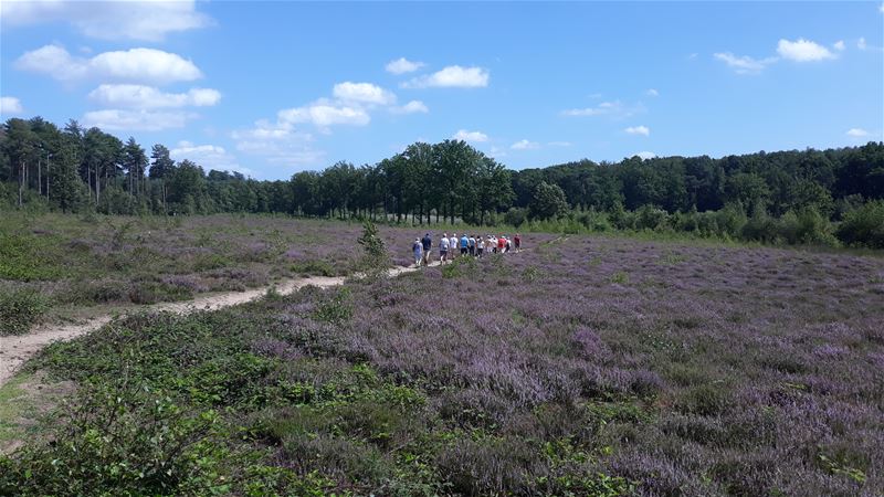 Vakantiegroeten uit Averbode