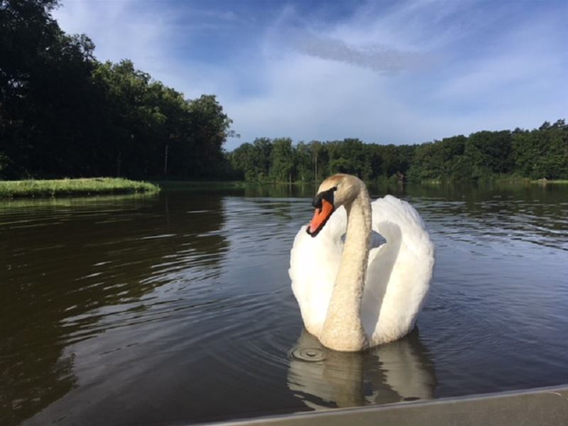 Vakantiegroeten uit Bokrijk