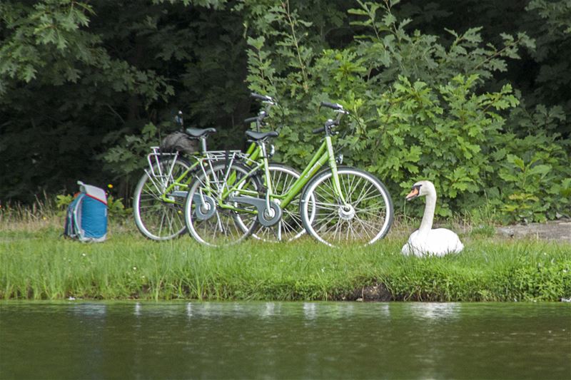 Vakantiegroeten uit Bokrijk