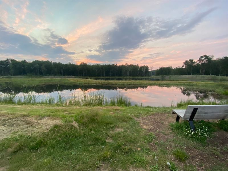 Vakantiegroeten uit Bokrijk