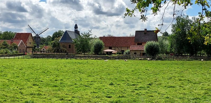 Vakantiegroeten uit Bokrijk