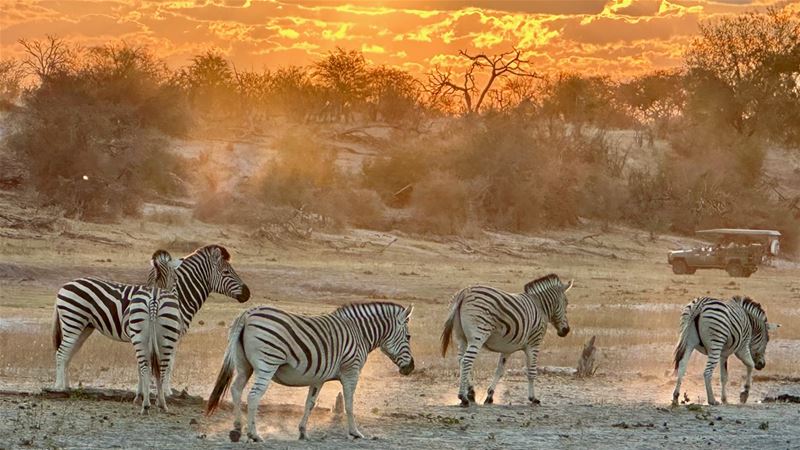 Vakantiegroeten uit Botswana