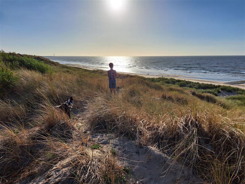 Vakantiegroeten uit Bredene