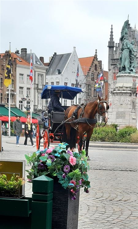 Vakantiegroeten uit Brugge