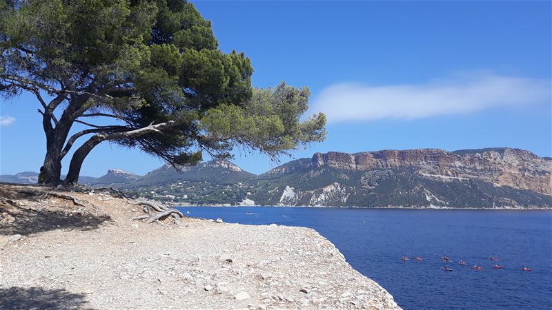 Vakantiegroeten uit Cassis