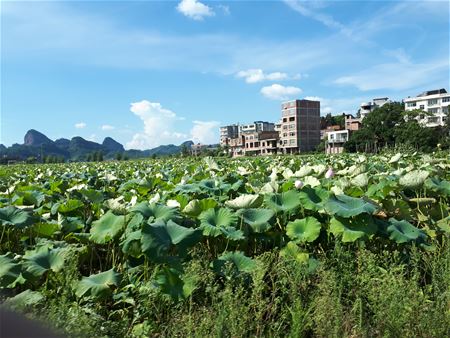 Vakantiegroeten uit China