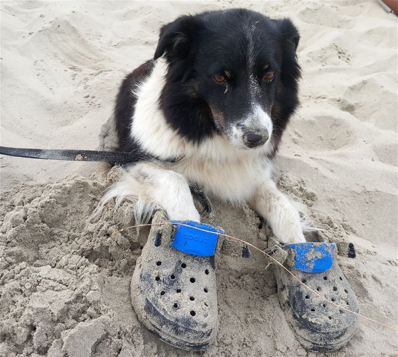 Vakantiegroeten uit Colijnsplaat
