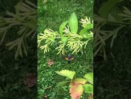 Vakantiegroeten uit de Dordogne