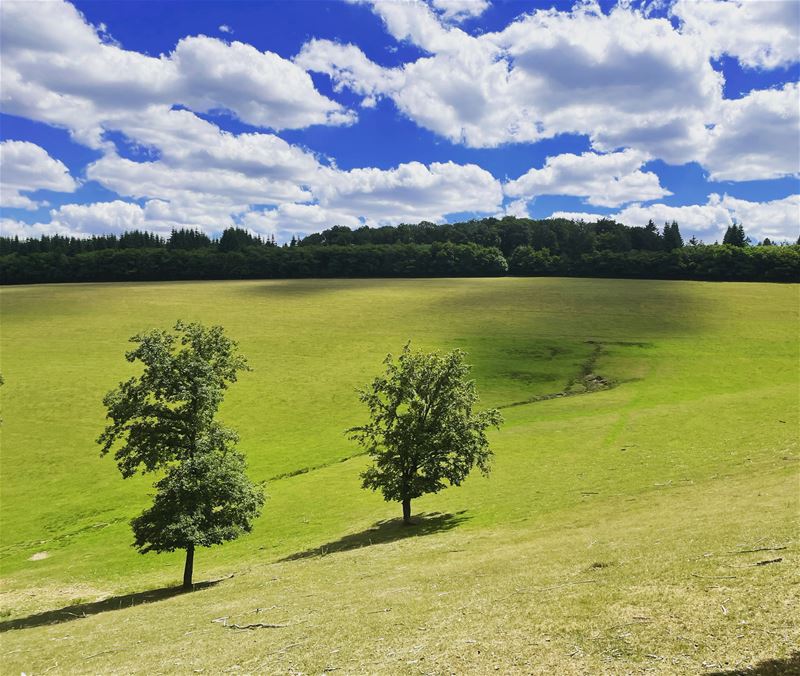 Vakantiegroeten uit de Eifel