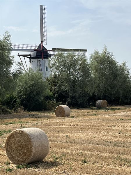 Vakantiegroeten uit De Moeren