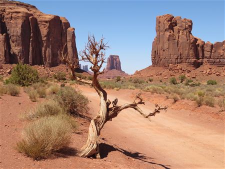 Vakantiegroeten uit de USA