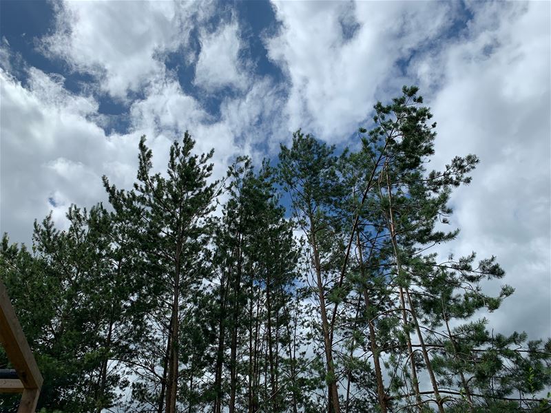 Vakantiegroeten uit Dilsen-Stokkem