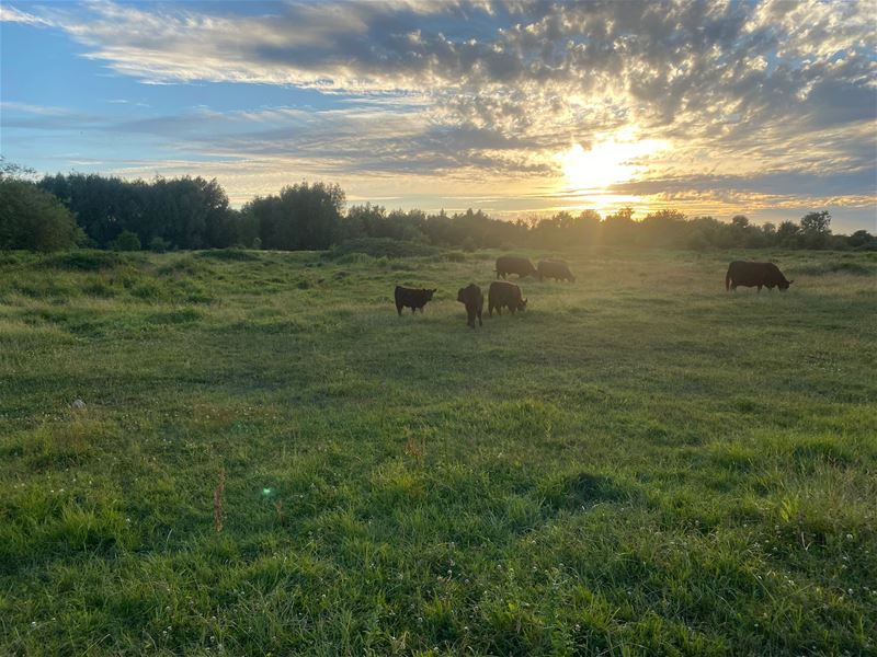 Vakantiegroeten uit Dilsen-Stokkem