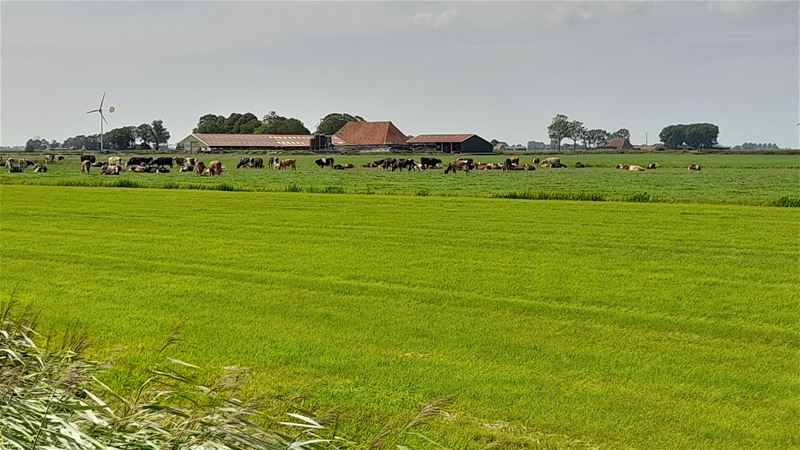 Vakantiegroeten uit Dokkum