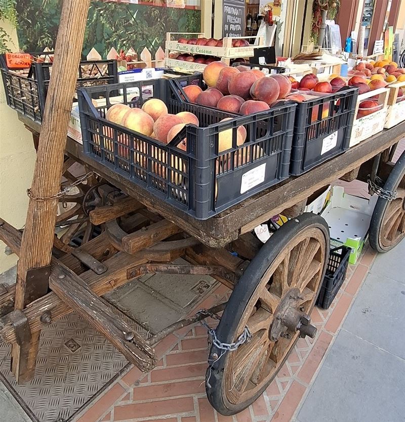Vakantiegroeten uit Emilia Romagna