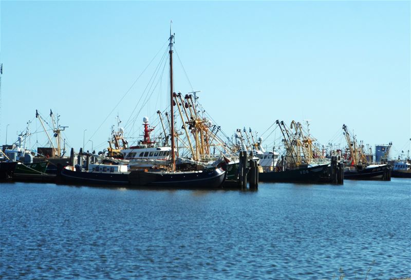 Vakantiegroeten uit Friesland