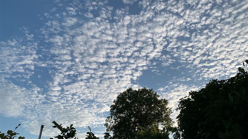 Vakantiegroeten uit Geetbets