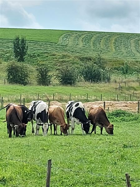 Vakantiegroeten uit Gulpen