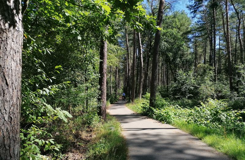 Vakantiegroeten uit Hechtel-Eksel