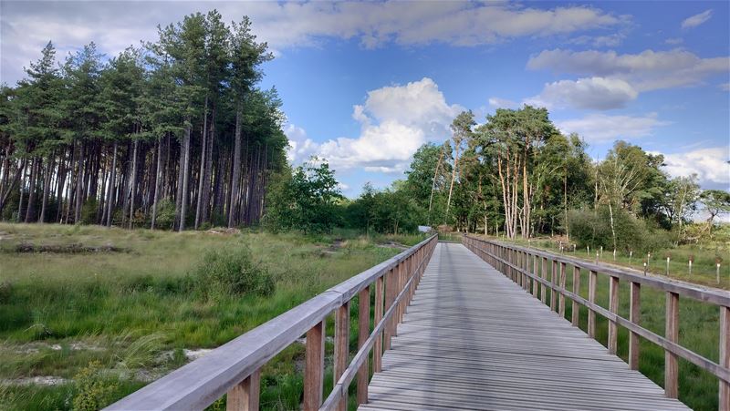 Vakantiegroeten uit Hechtel