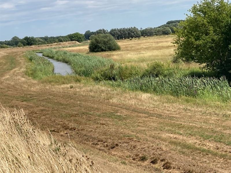 Vakantiegroeten uit het Schulensbroek