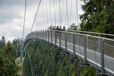 Vakantiegroeten uit het Zwarte Woud