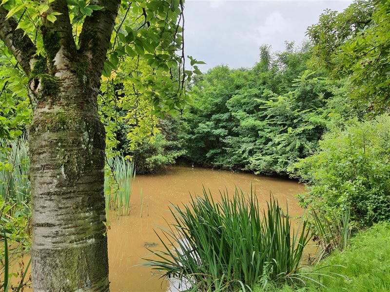 Vakantiegroeten uit Heusden-Zolder