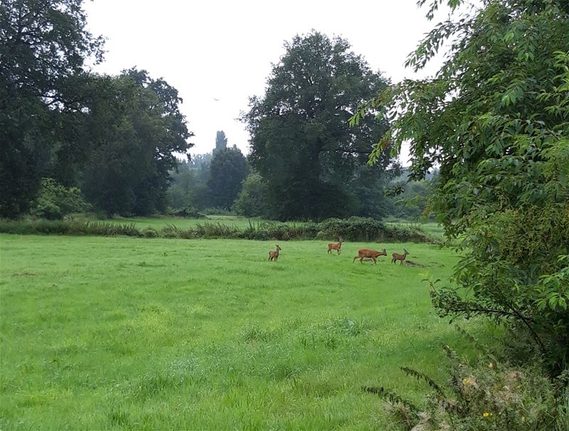 Vakantiegroeten uit Heusden-Zolder
