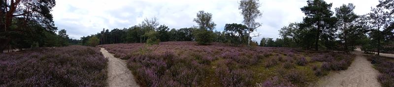 Vakantiegroeten uit Heusden-Zolder
