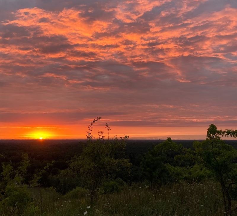 Vakantiegroeten uit Heusden-Zolder
