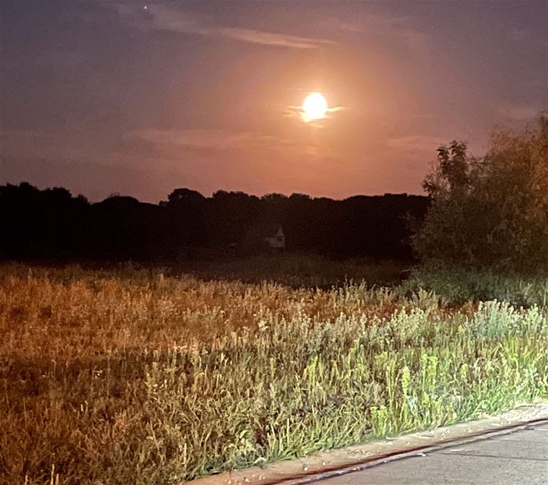 Vakantiegroeten uit Heusden-Zolder