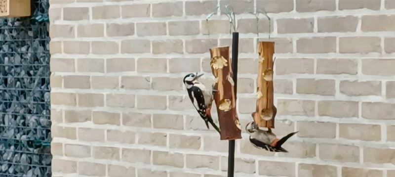 Vakantiegroeten uit Heusden-Zolder