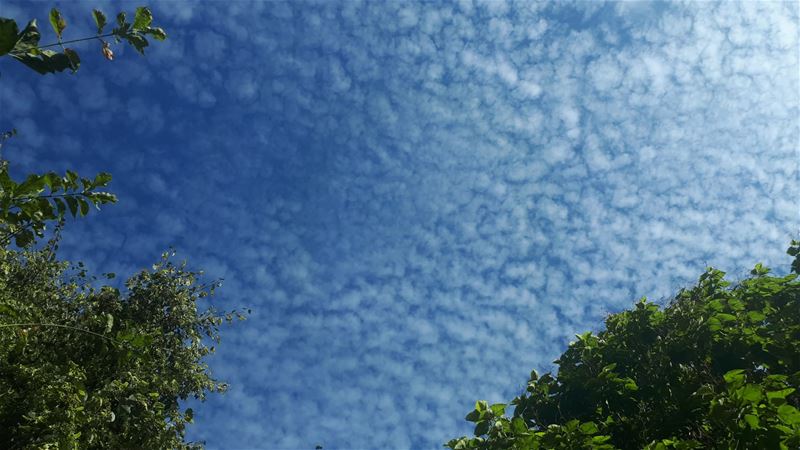 Vakantiegroeten uit Heusden-Zolder