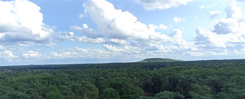 Vakantiegroeten uit Heusden-Zolder