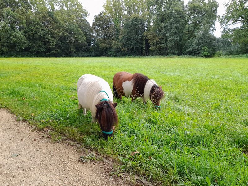 Vakantiegroeten uit Heusden-Zolder