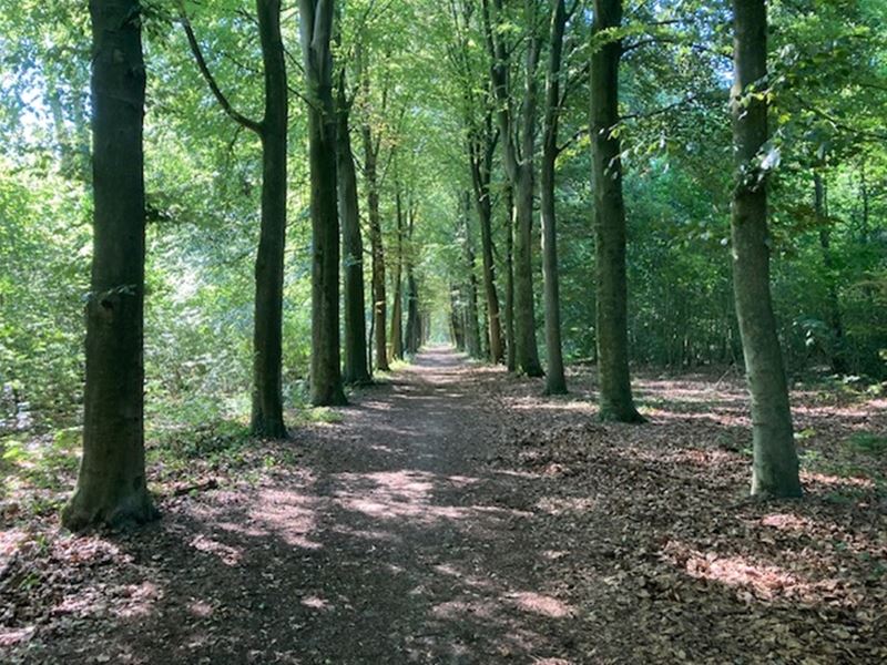 Vakantiegroeten uit Heusden-Zolder